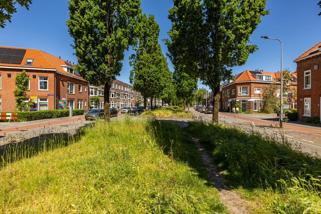 Foto 46 van Prinsesseweg 34
