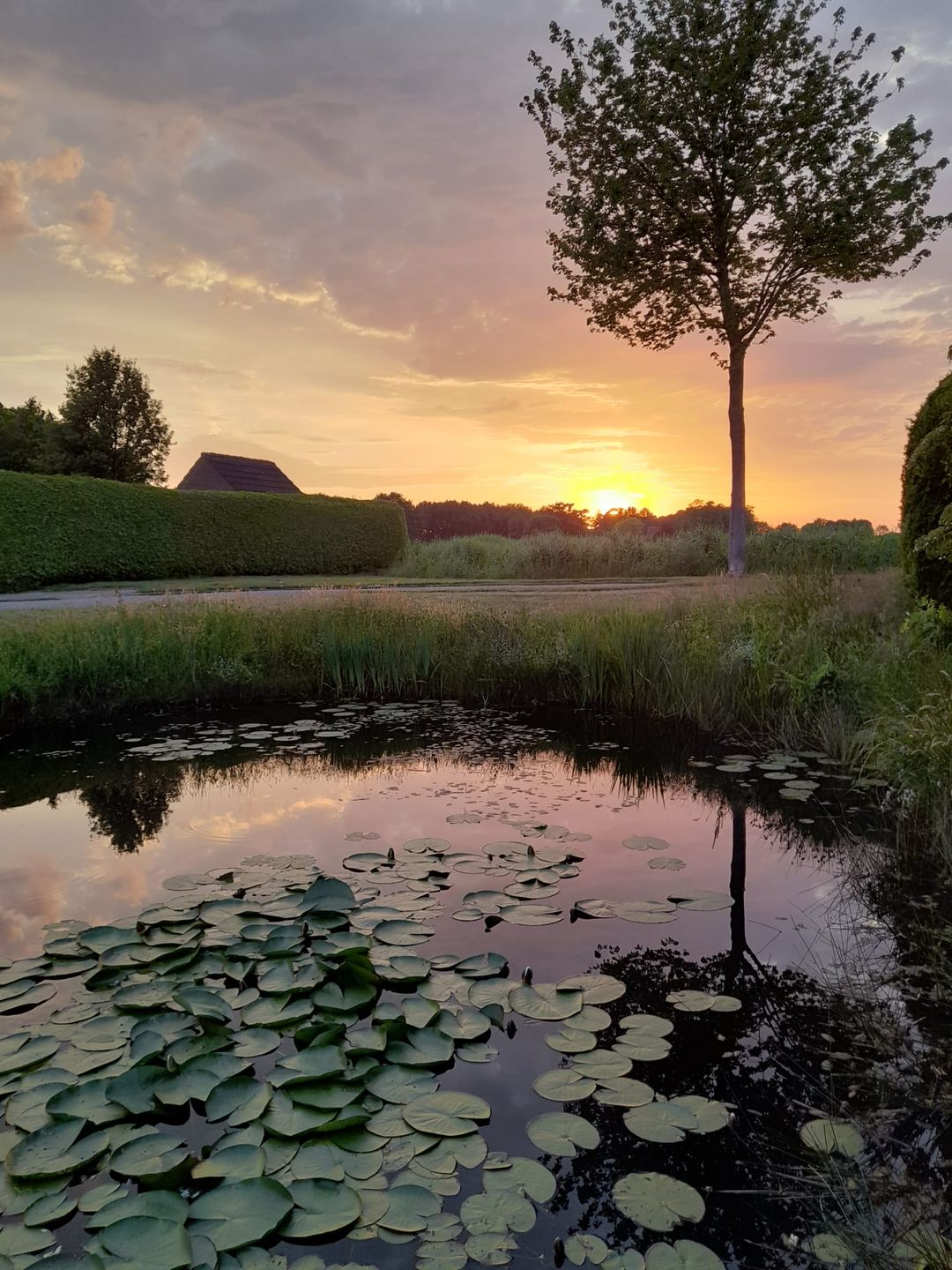 Photo 41 of Lichte 16