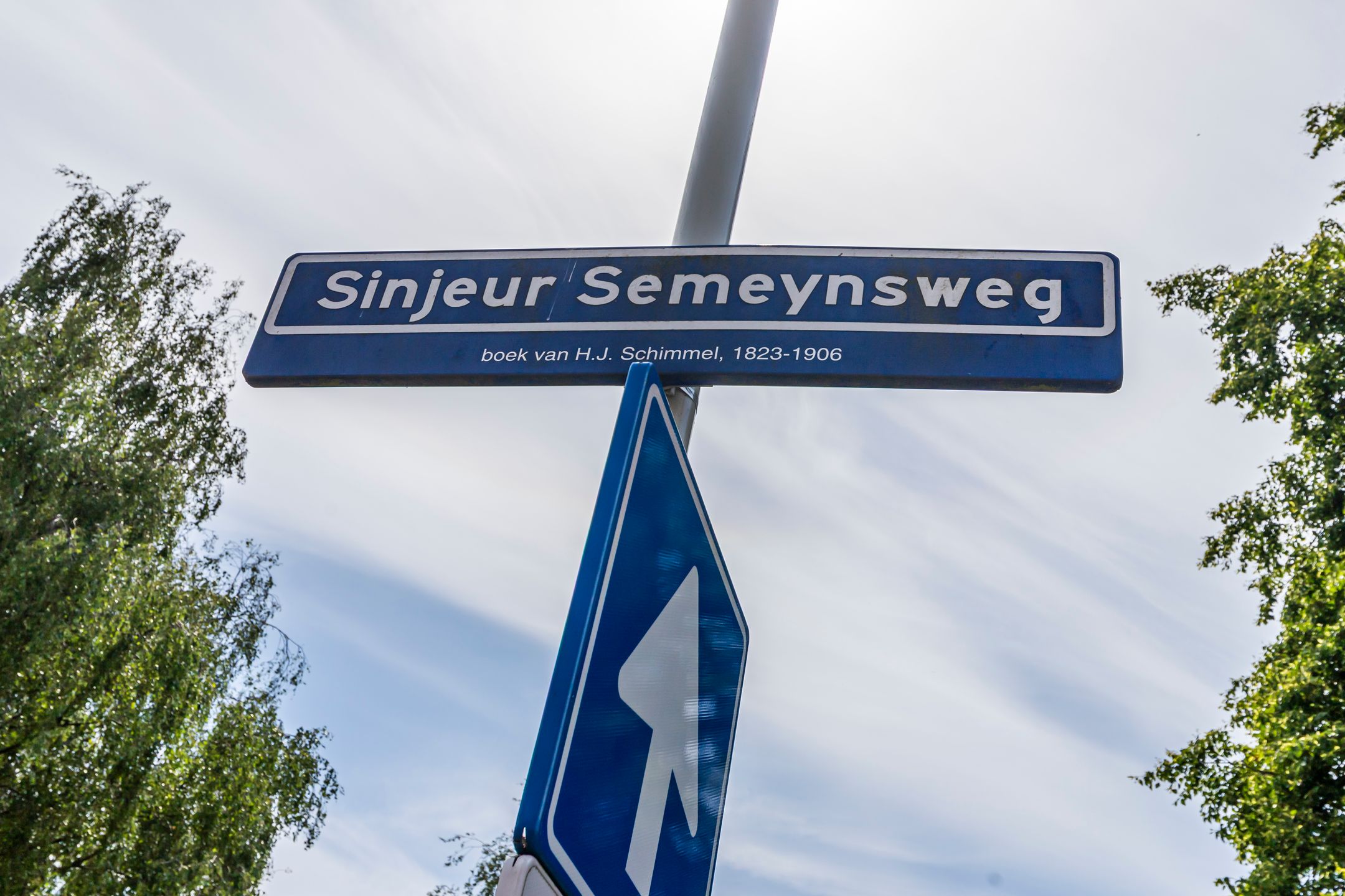 Photo 45 of Sinjeur Semeynsweg 321