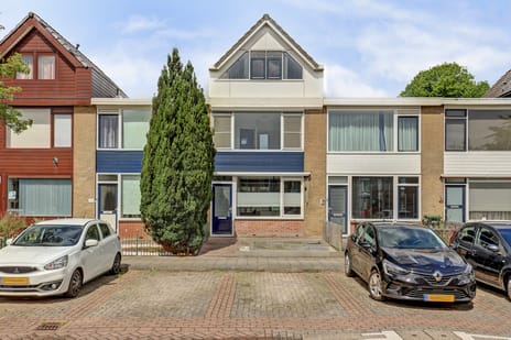 Zonnebloemstraat thumbnail