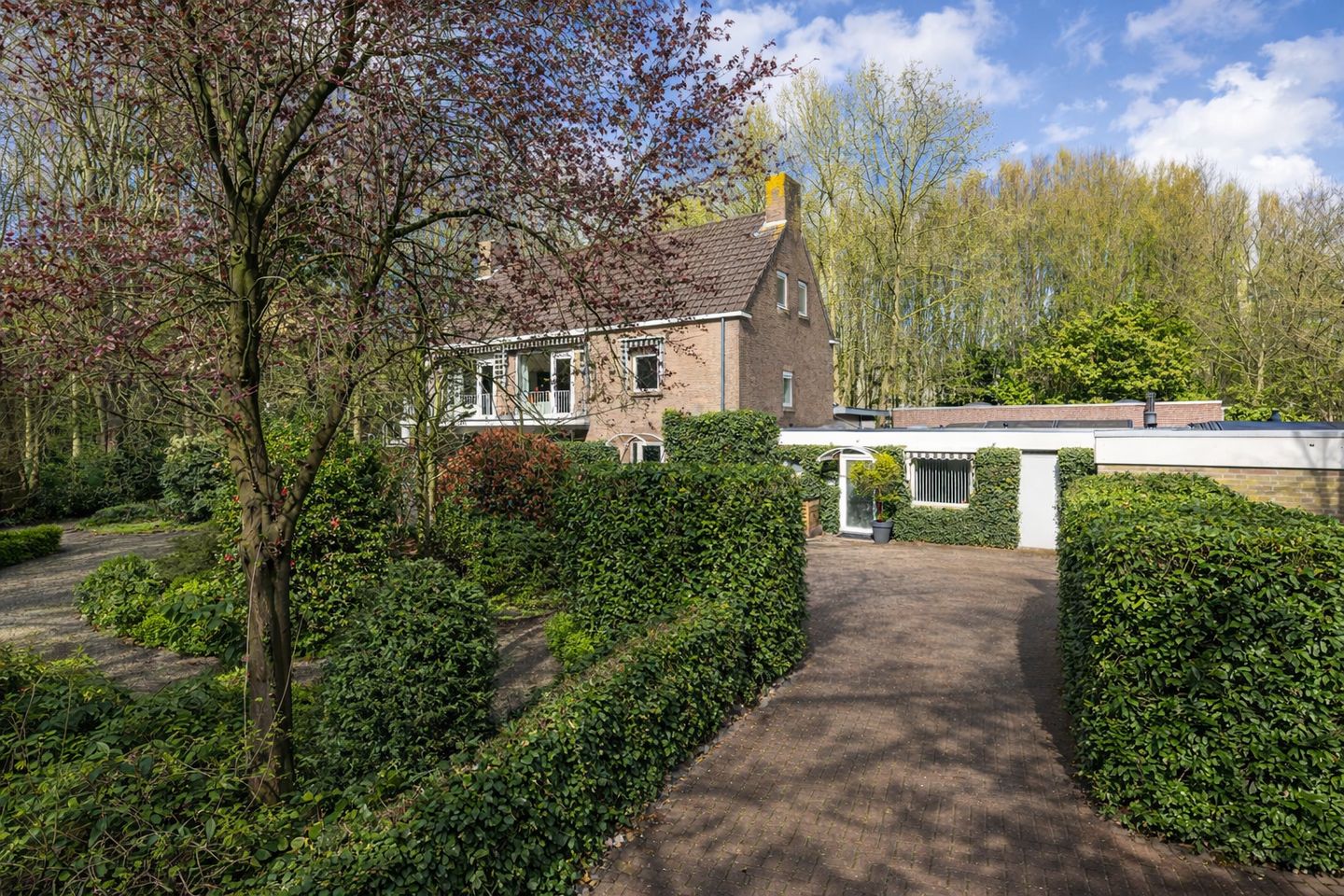 View photo 5 of Ridderstraat 37