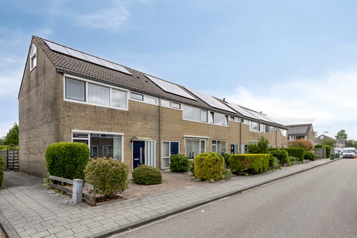 Foto 5 van Egelskop 1