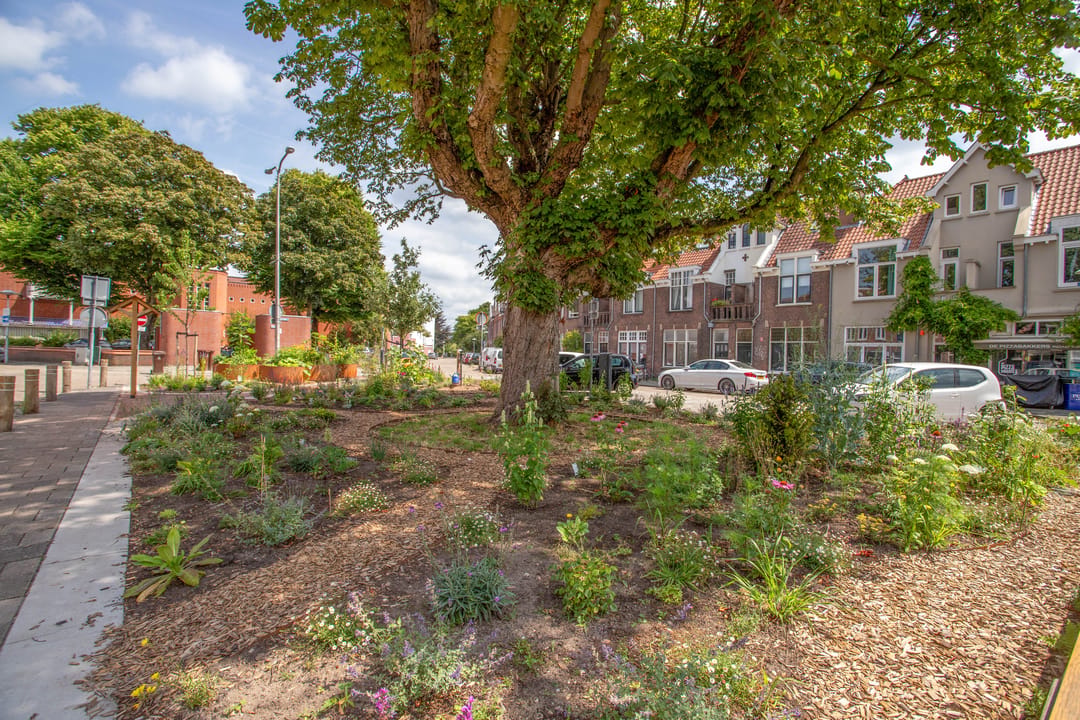 Photo 41 of Spieghelstraat 45