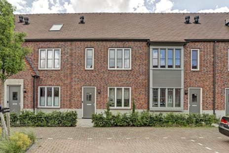 Notenhout thumbnail