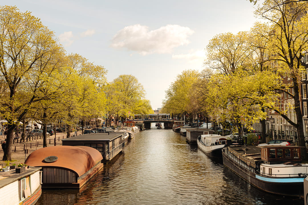 Foto 41 van Achtergracht 45-1