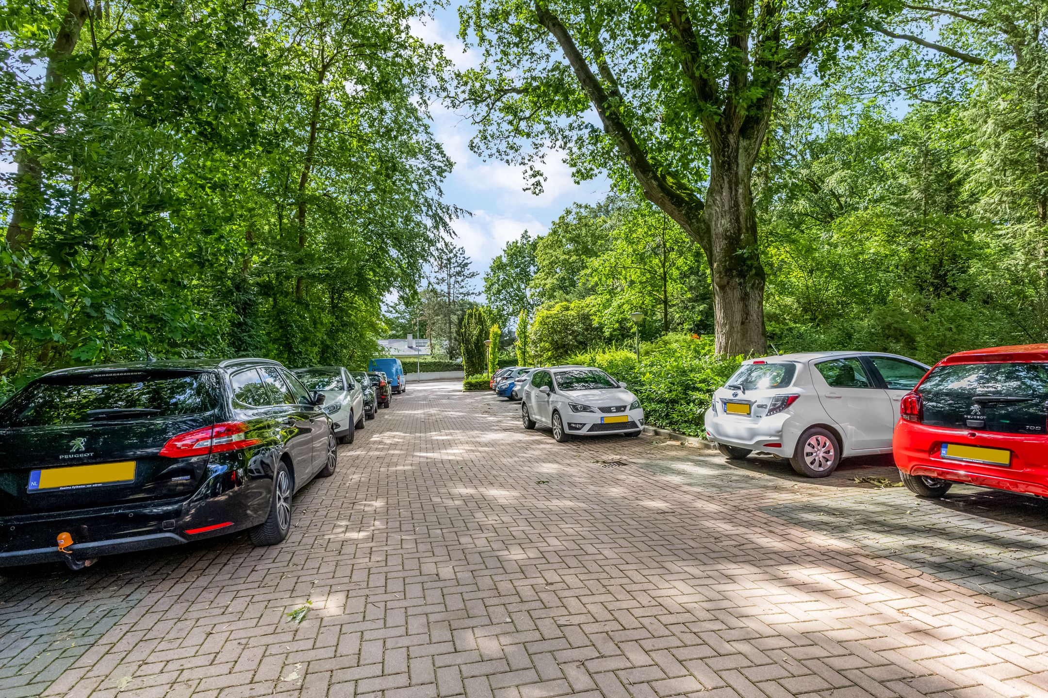 Photo 63 of Dennenlaan 109