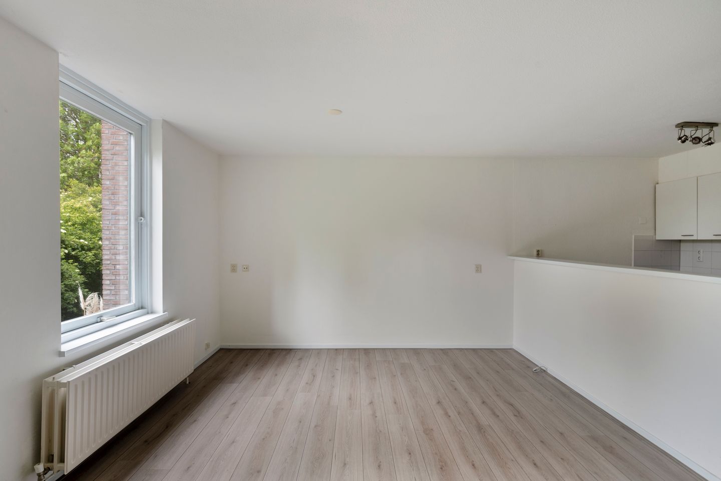Foto 4 van Ampsen 40