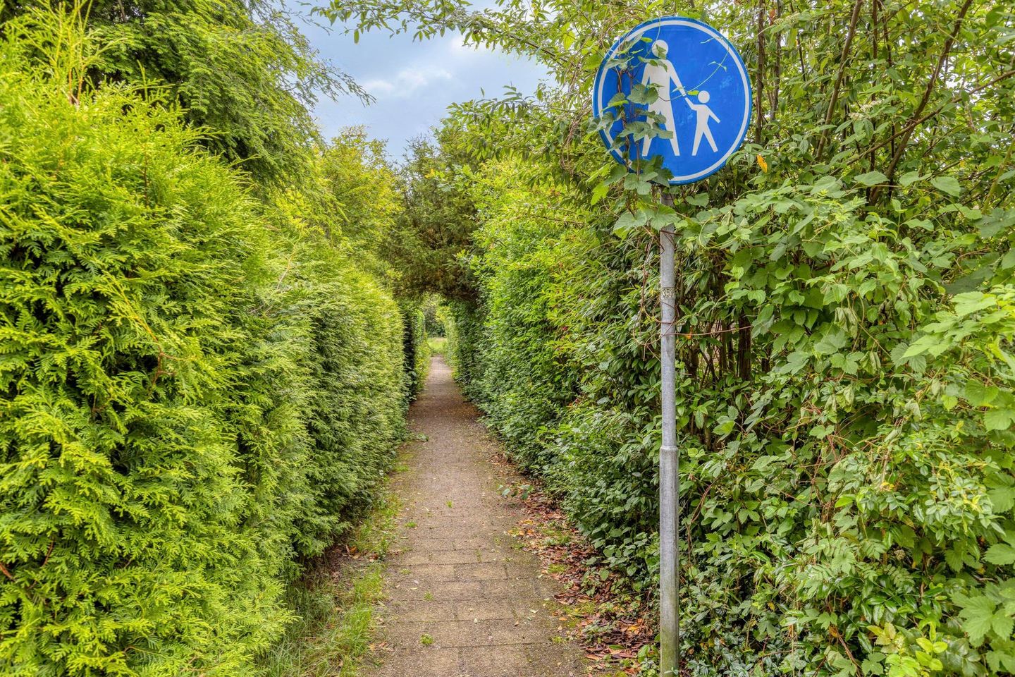 Photo 40 of van Essenstraat 50