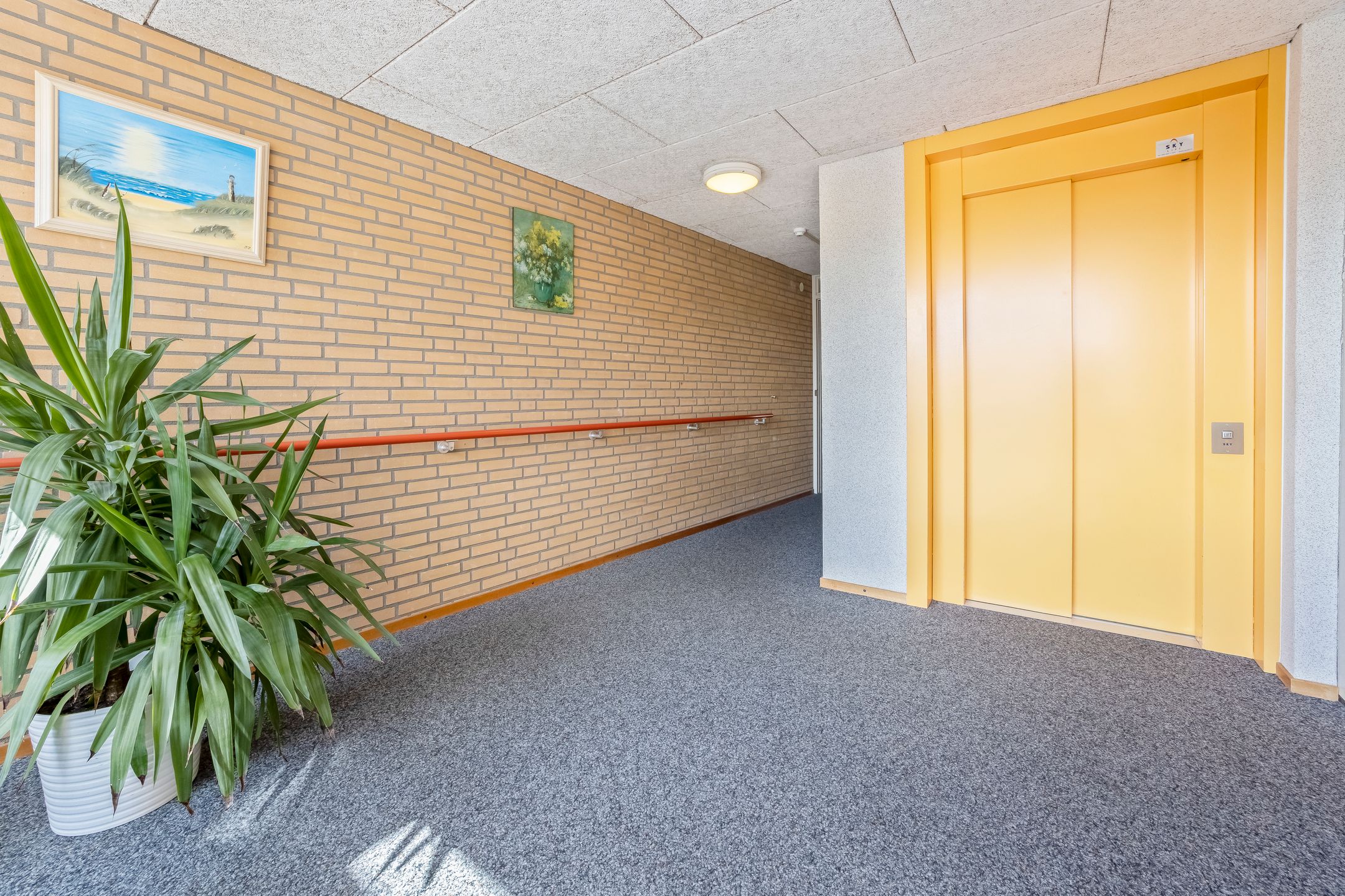 Foto 3 van Maerelaan 19-E