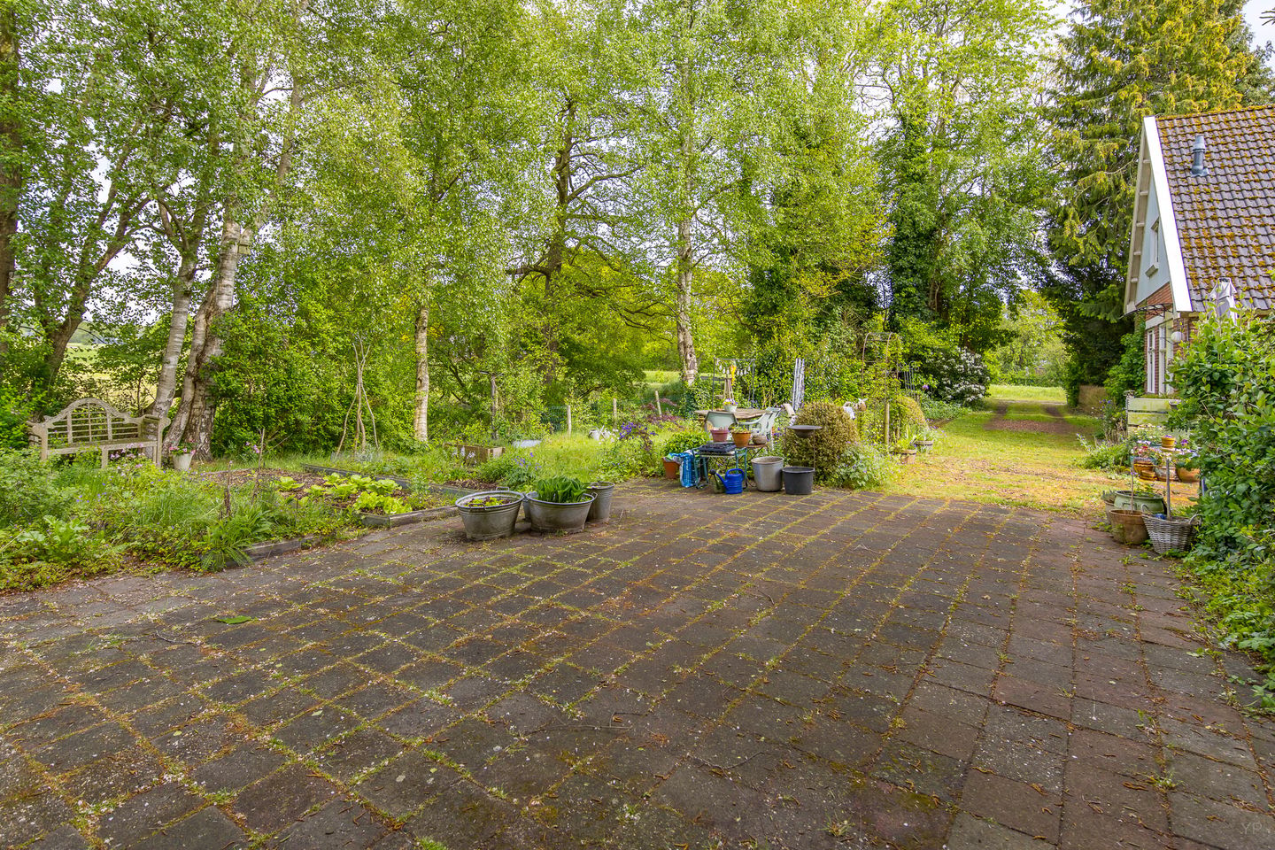 Photo 29 of Buinerstraat 1