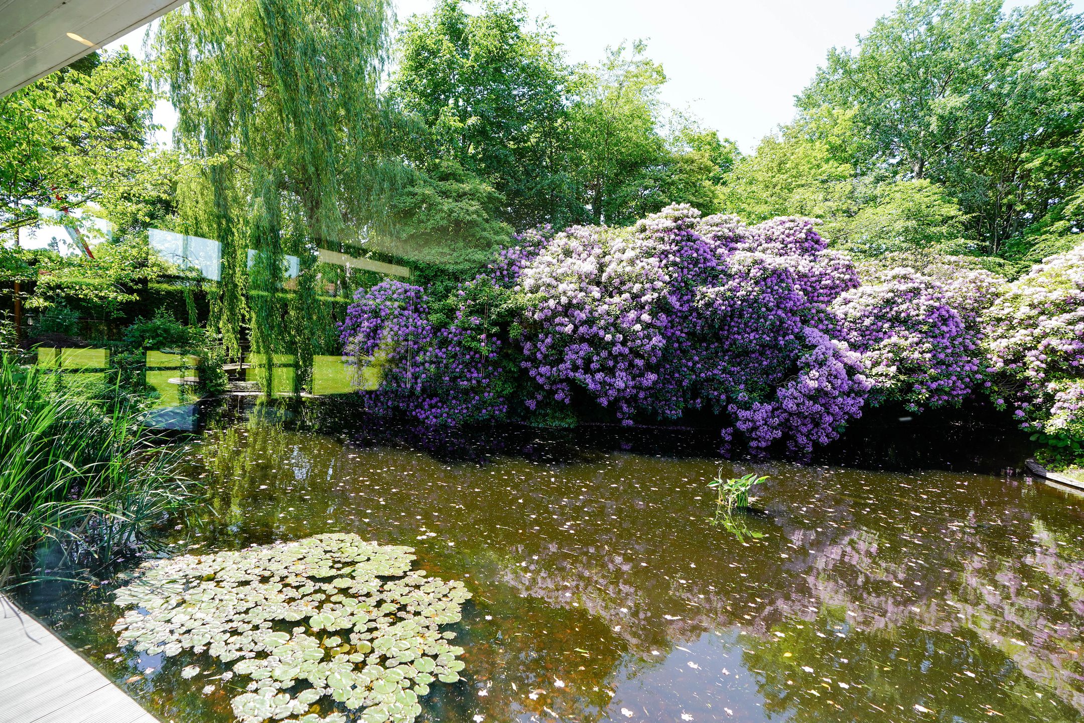 Photo 9 of Achttienhontpad 4