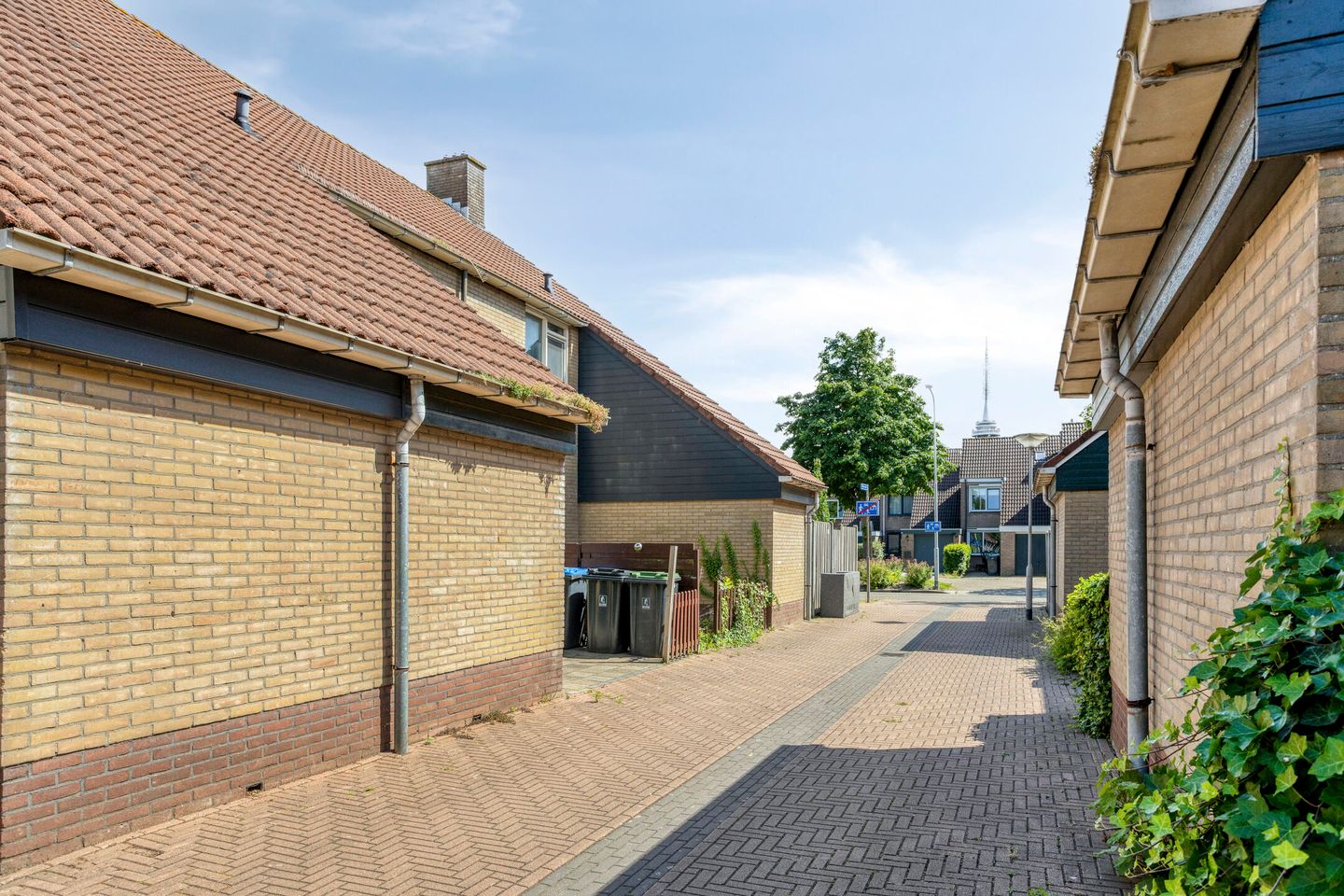 Photo 34 of Rijkenspad 3