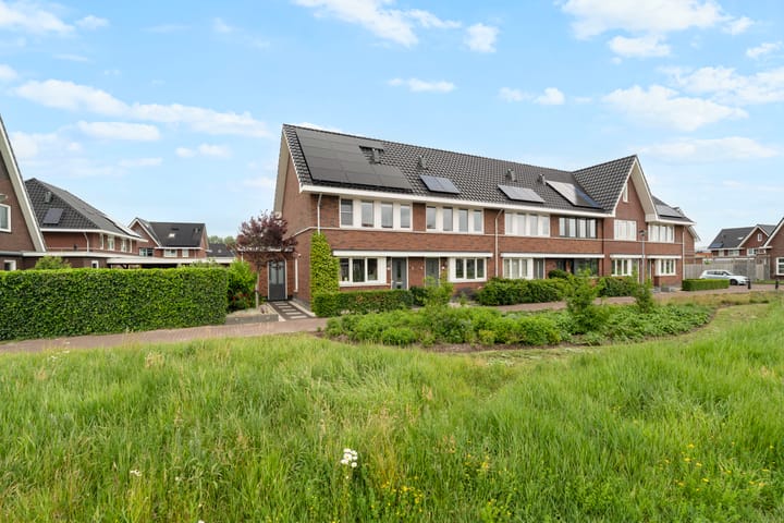 Foto 5 van Biestarwe 24