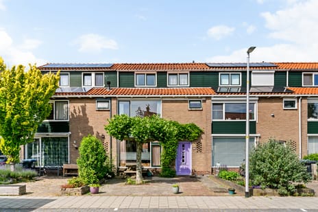 Pieter Kramerstraat thumbnail