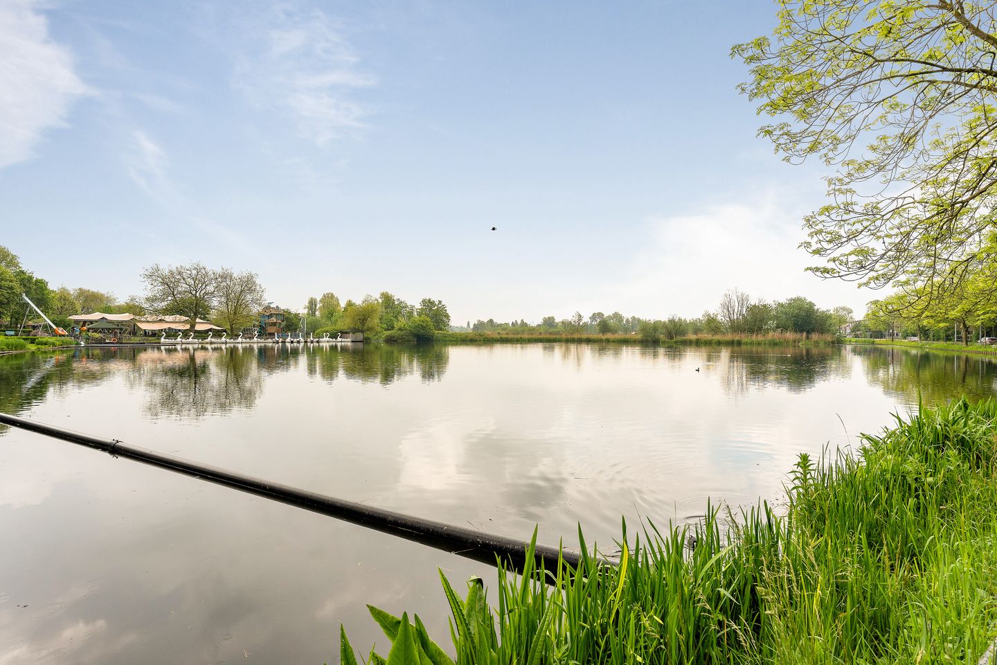 Foto 40 van Peppelweg 22-D