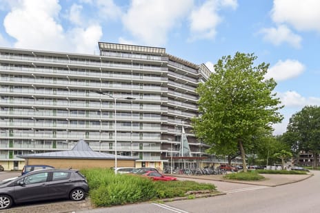 Zalkerbos thumbnail