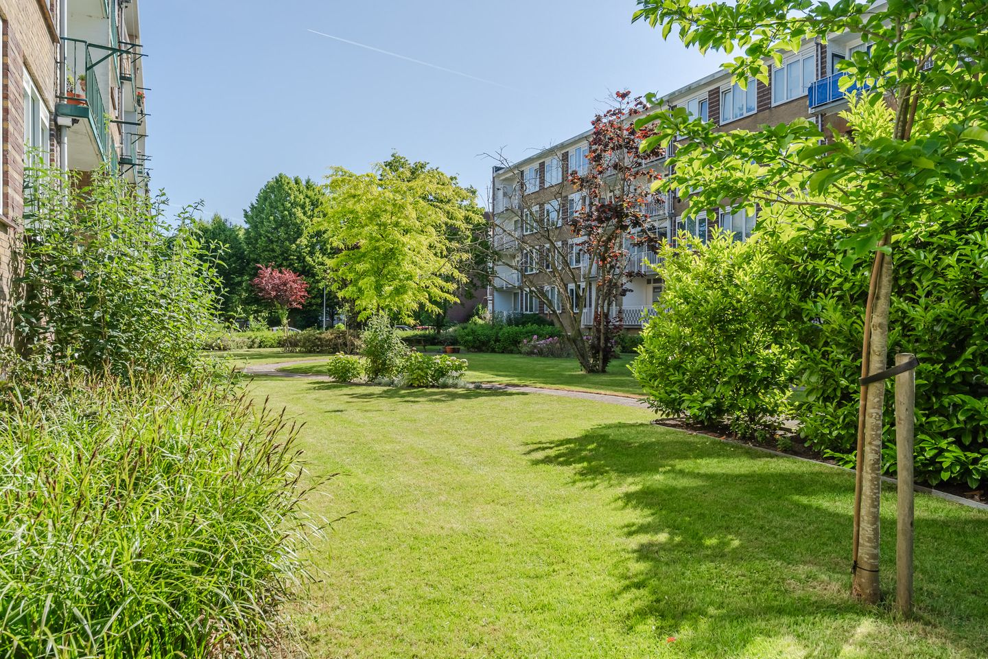 Photo 20 of Henriëtte Roland Holsthof 34