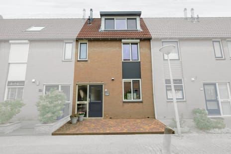 Talmastraat thumbnail