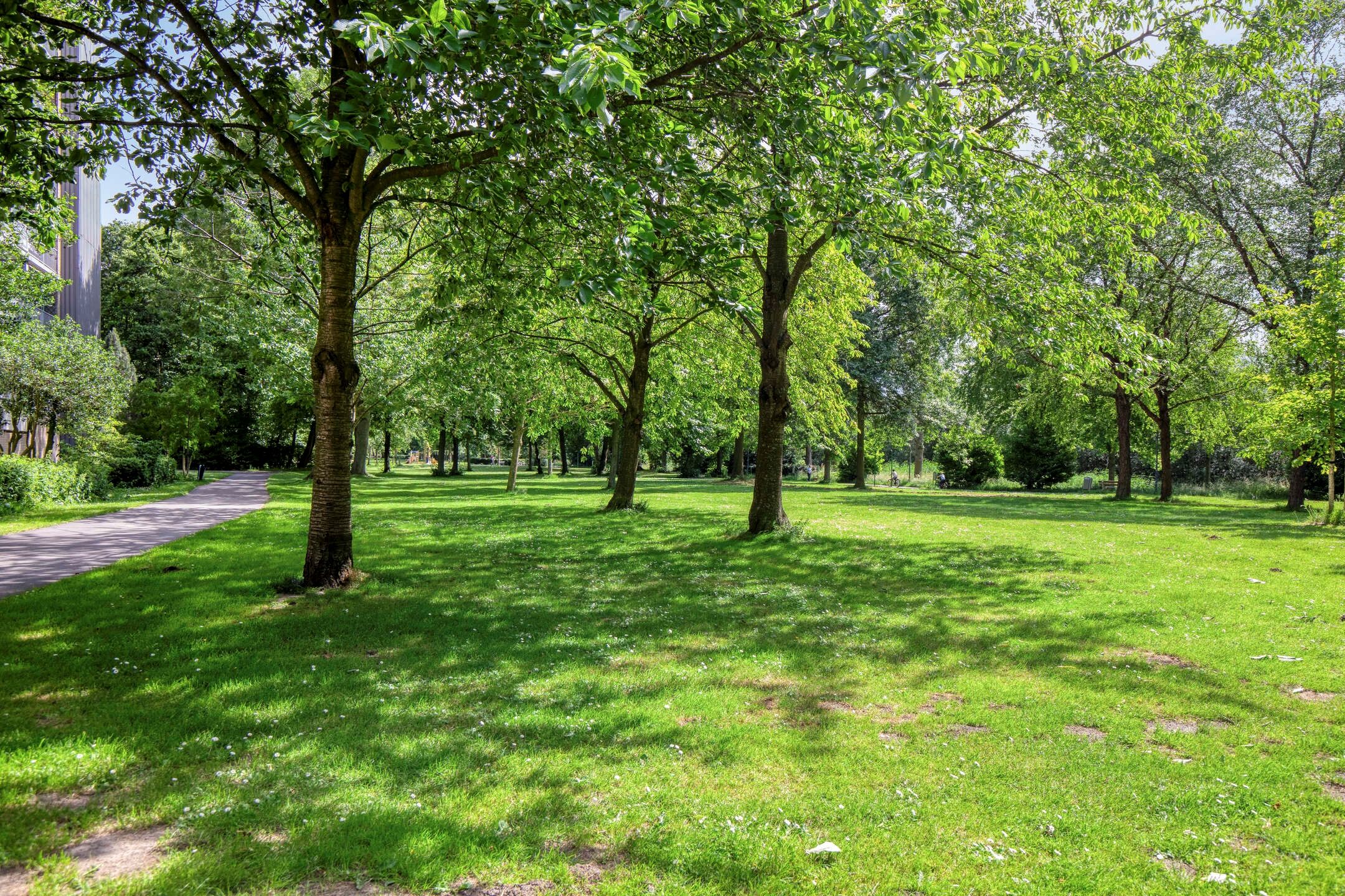 Photo 27 of Griegplein 85