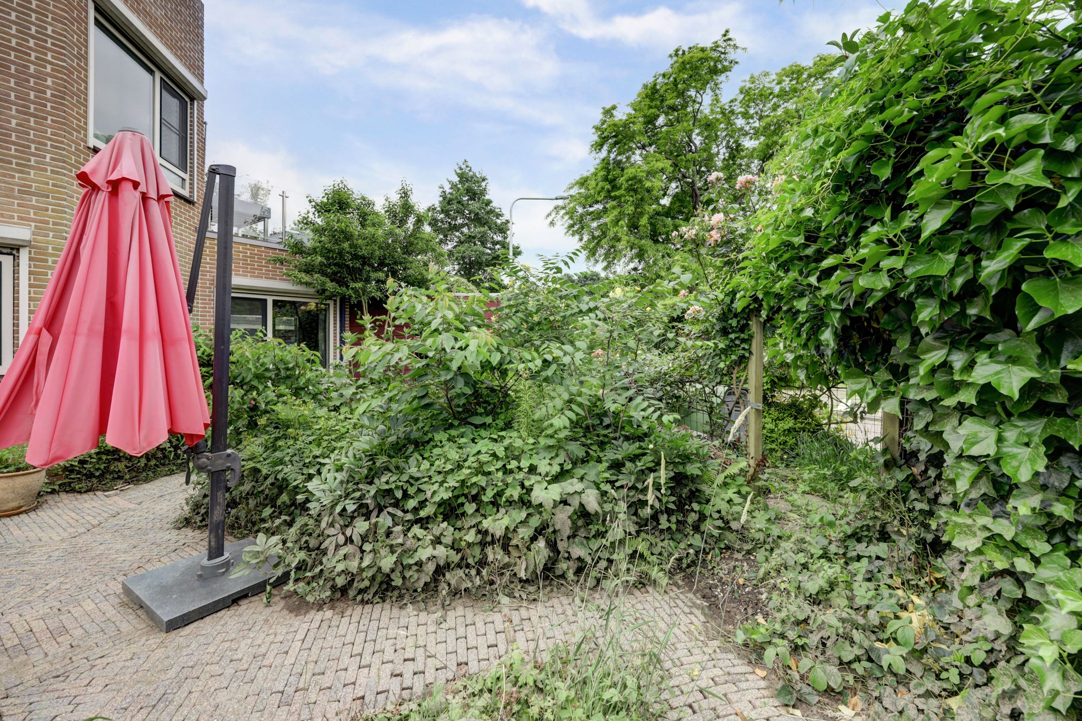 Photo 51 of De Eendenkooi 10