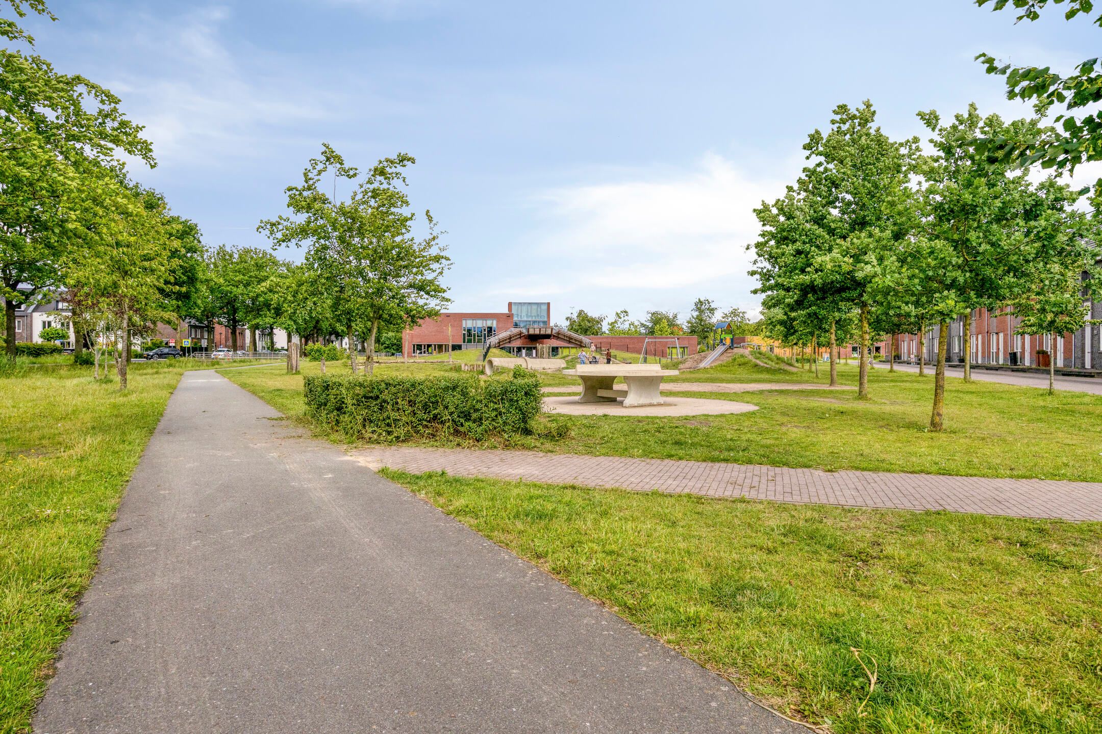 Photo 36 of Honingbij 22