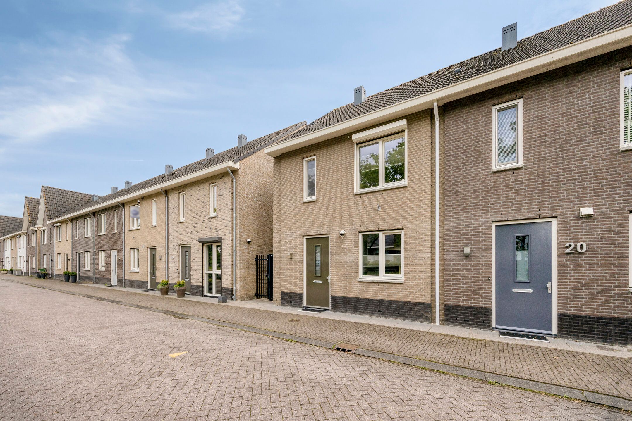 Photo 33 of Honingbij 22