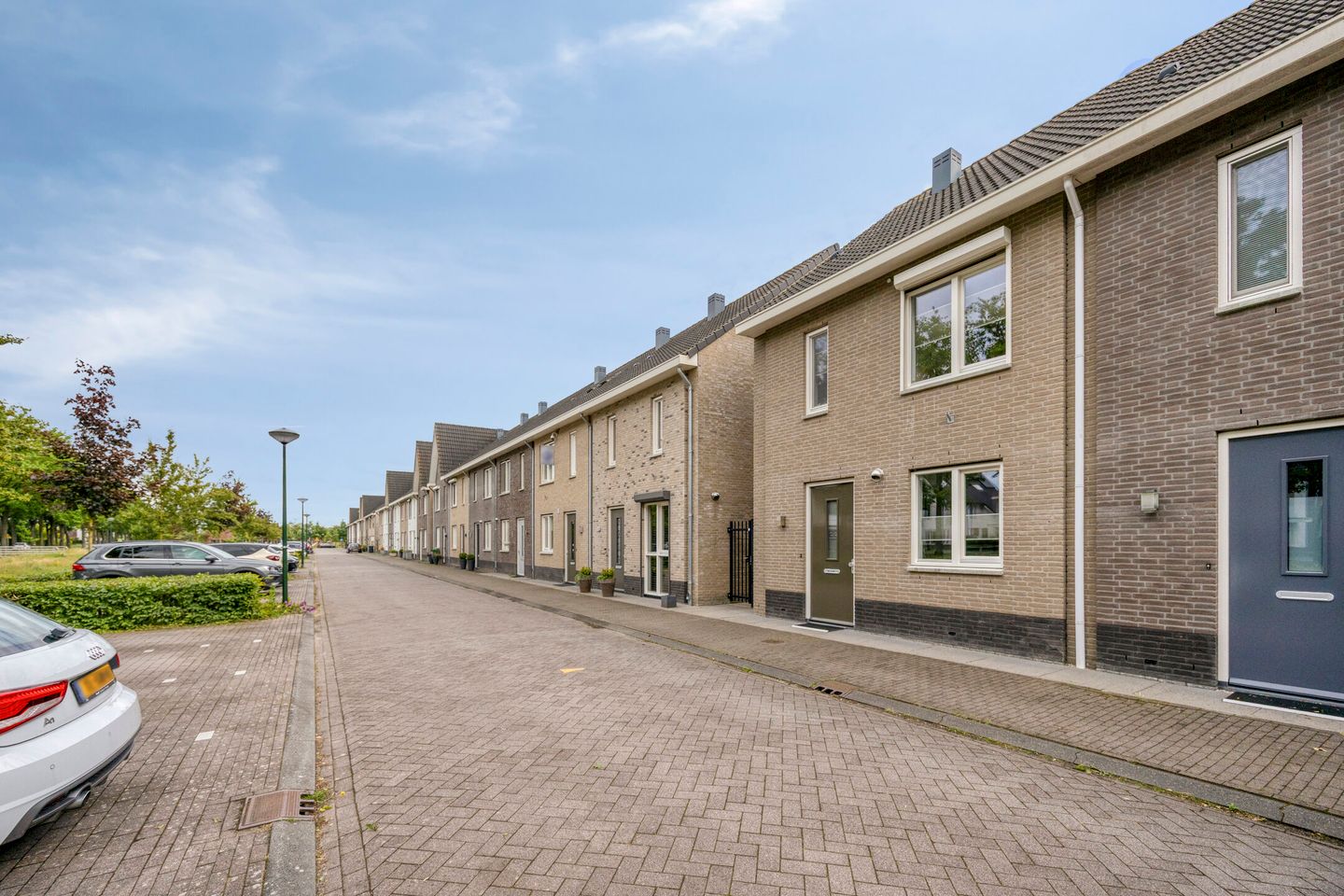 Photo 34 of Honingbij 22