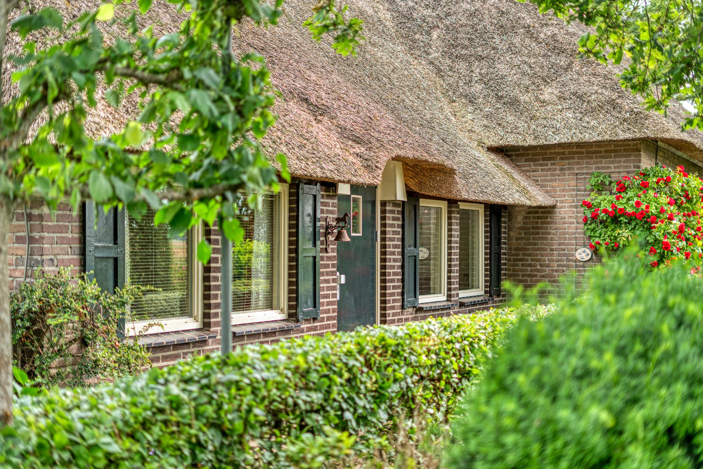 Photo 59 of Eldijk 18