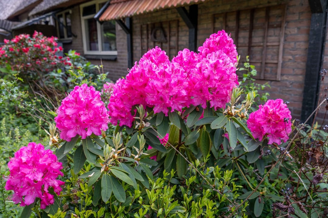 Photo 67 of Eldijk 18