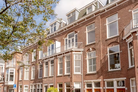Van Loostraat thumbnail