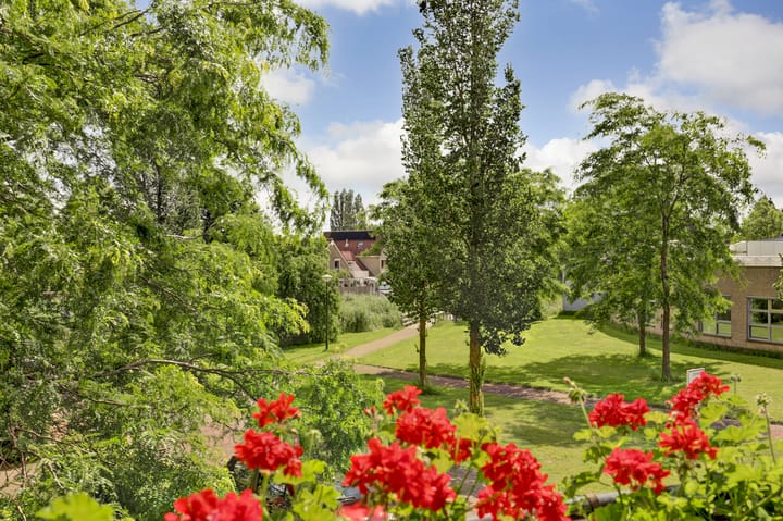 Foto 4 van Meidoornhof 16