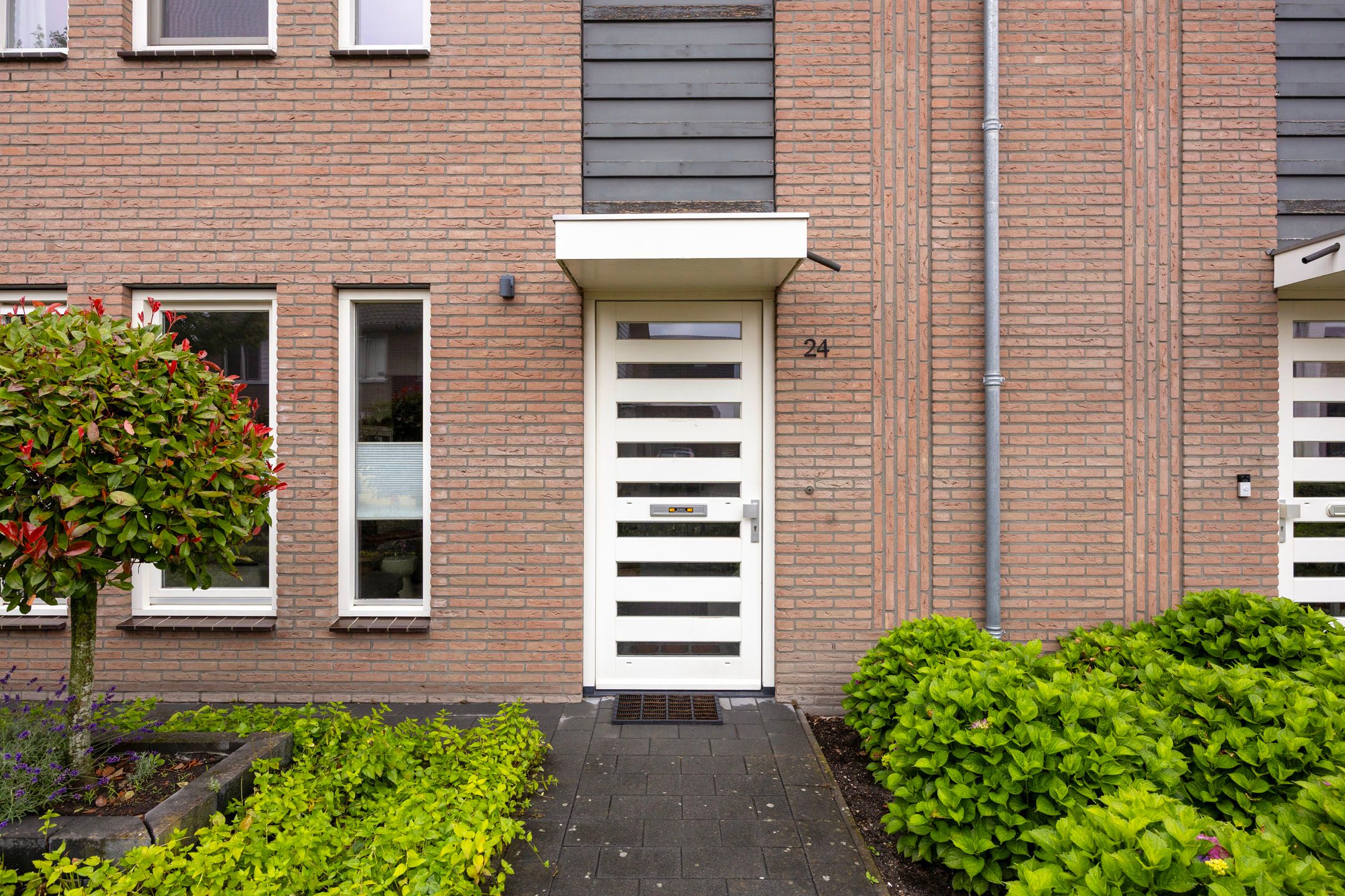 Foto 6 van Wijstgrond 24