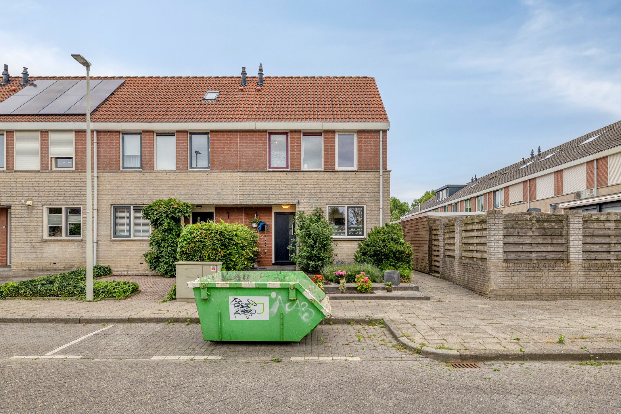 Grauwe Gans 42