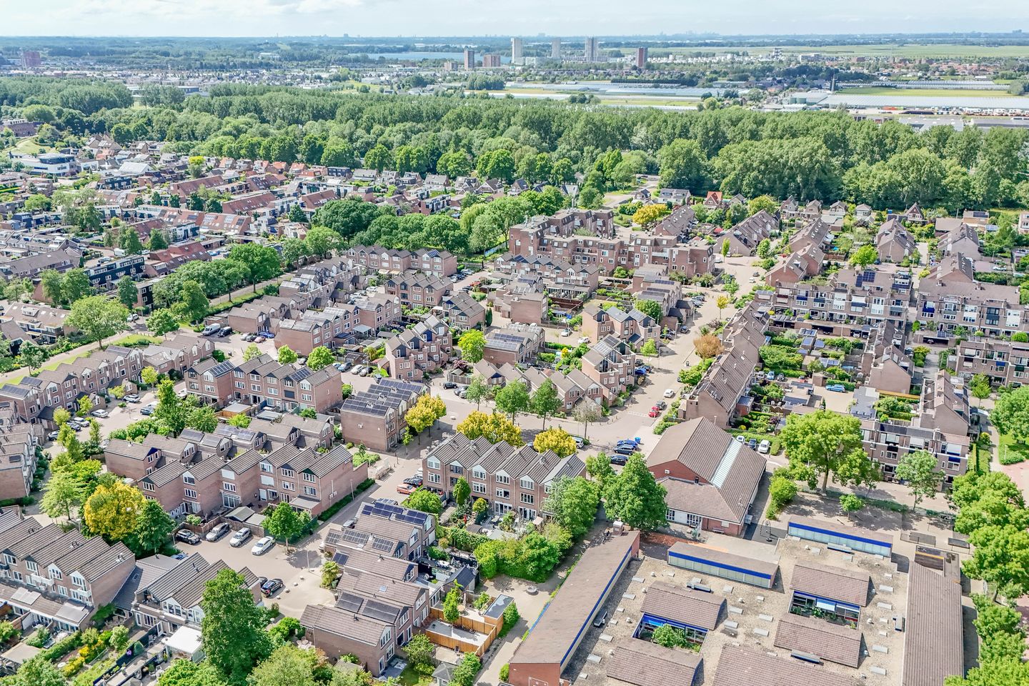 Foto 50 van Korstmos 37