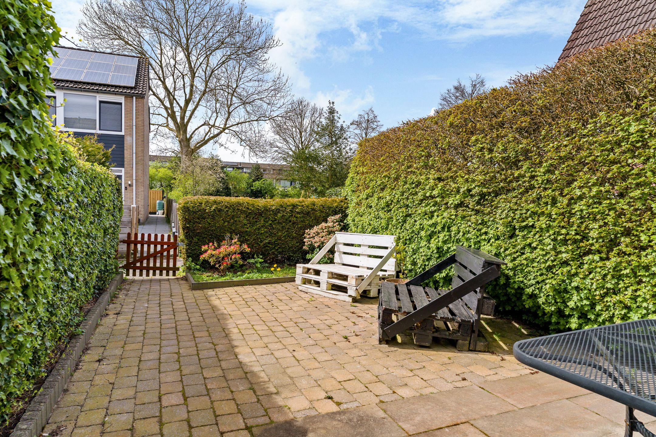 Photo 33 of Wilgenroosje 33