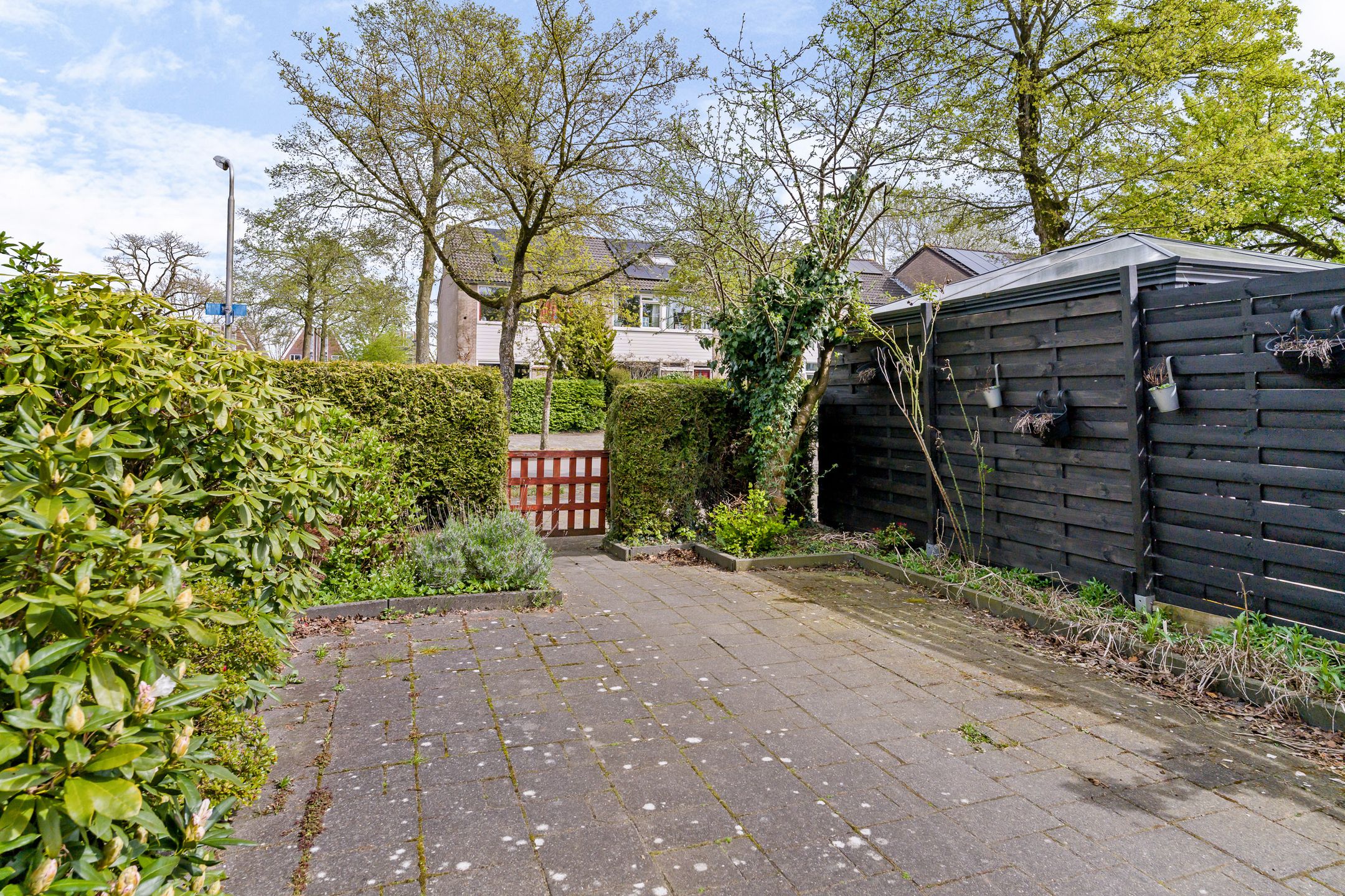 Photo 3 of Wilgenroosje 33