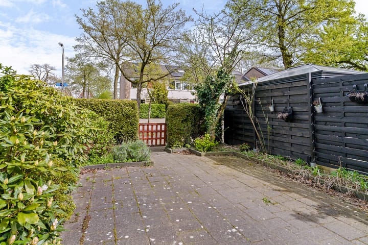 Foto 3 van Wilgenroosje 33