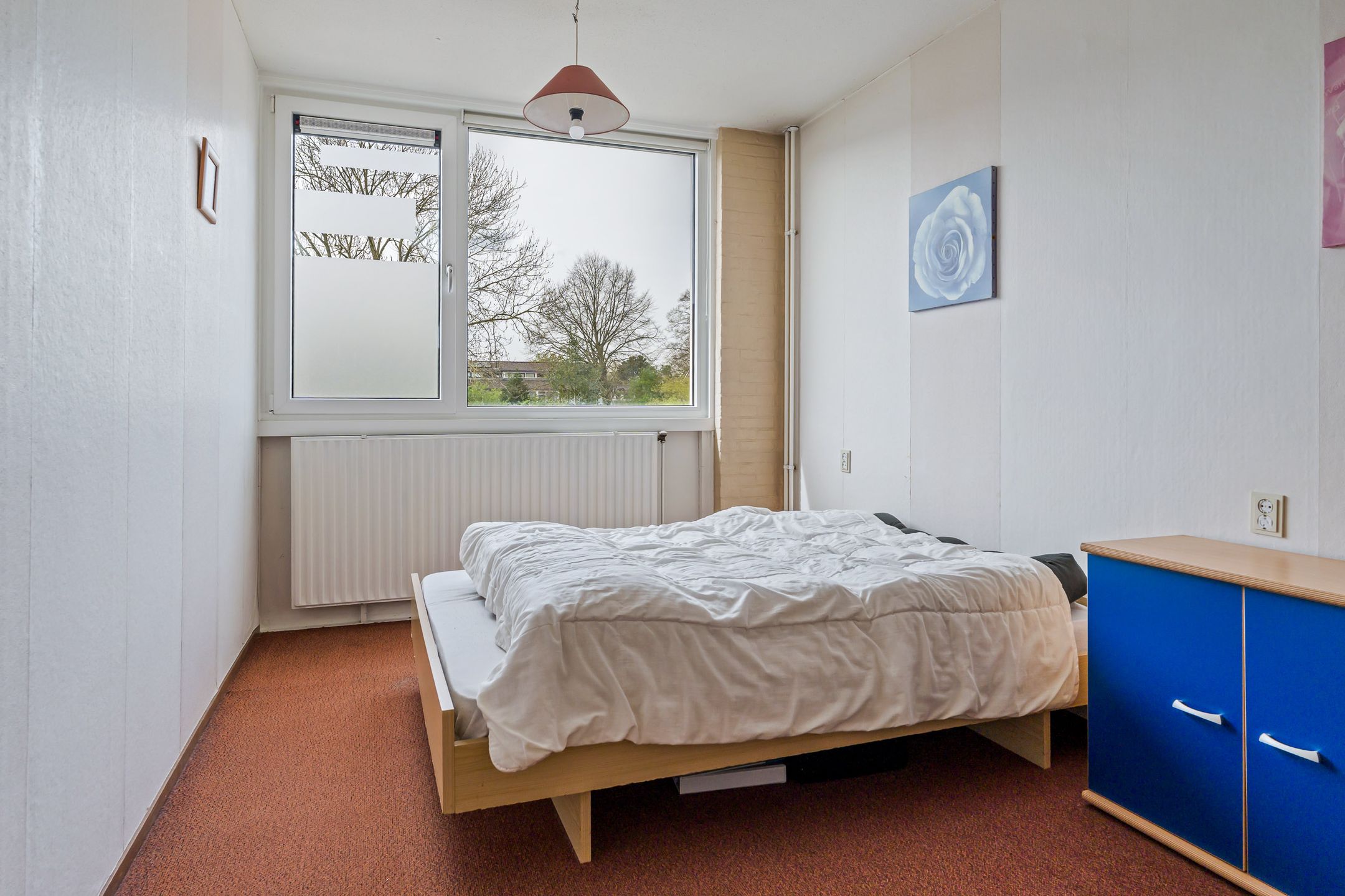 Photo 24 of Wilgenroosje 33