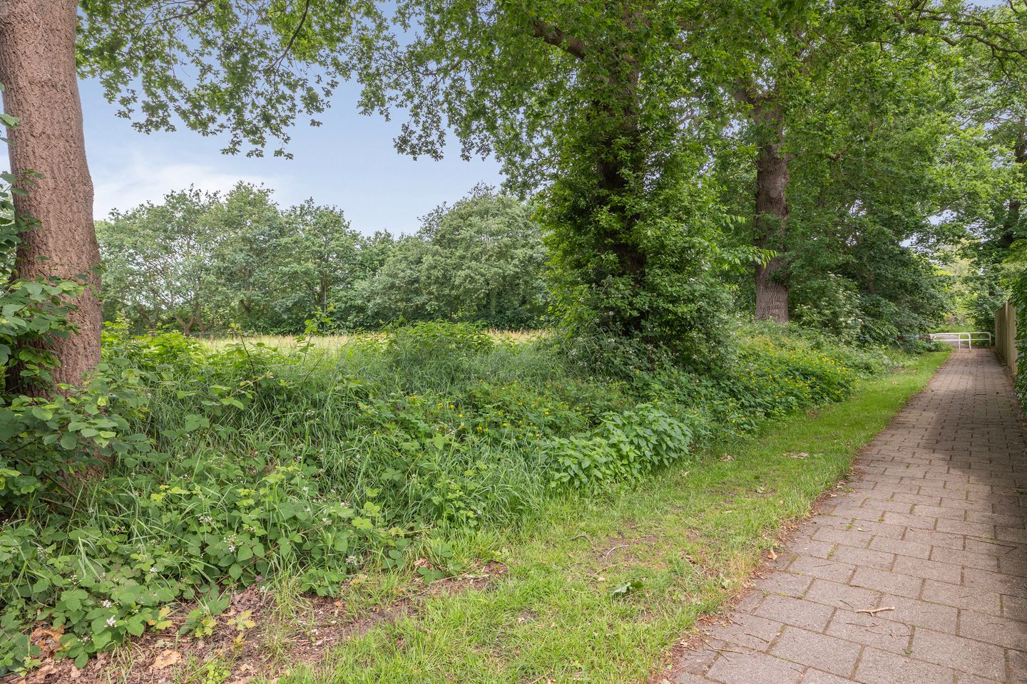 Foto 44 van Dwerguil 4