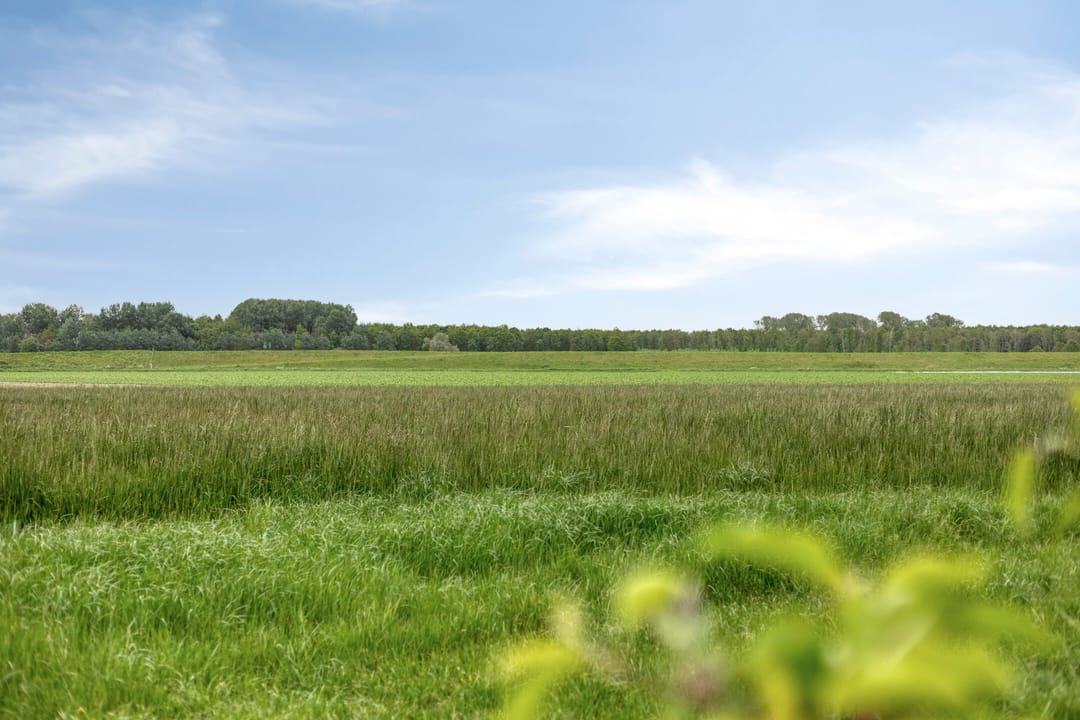 Photo 2 of Leguitsedijk 3