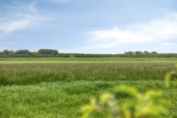 Photo 2 of Leguitsedijk 3