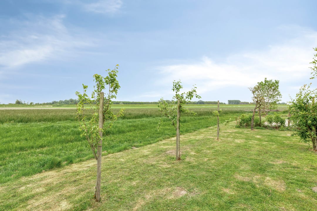 Photo 46 of Leguitsedijk 3