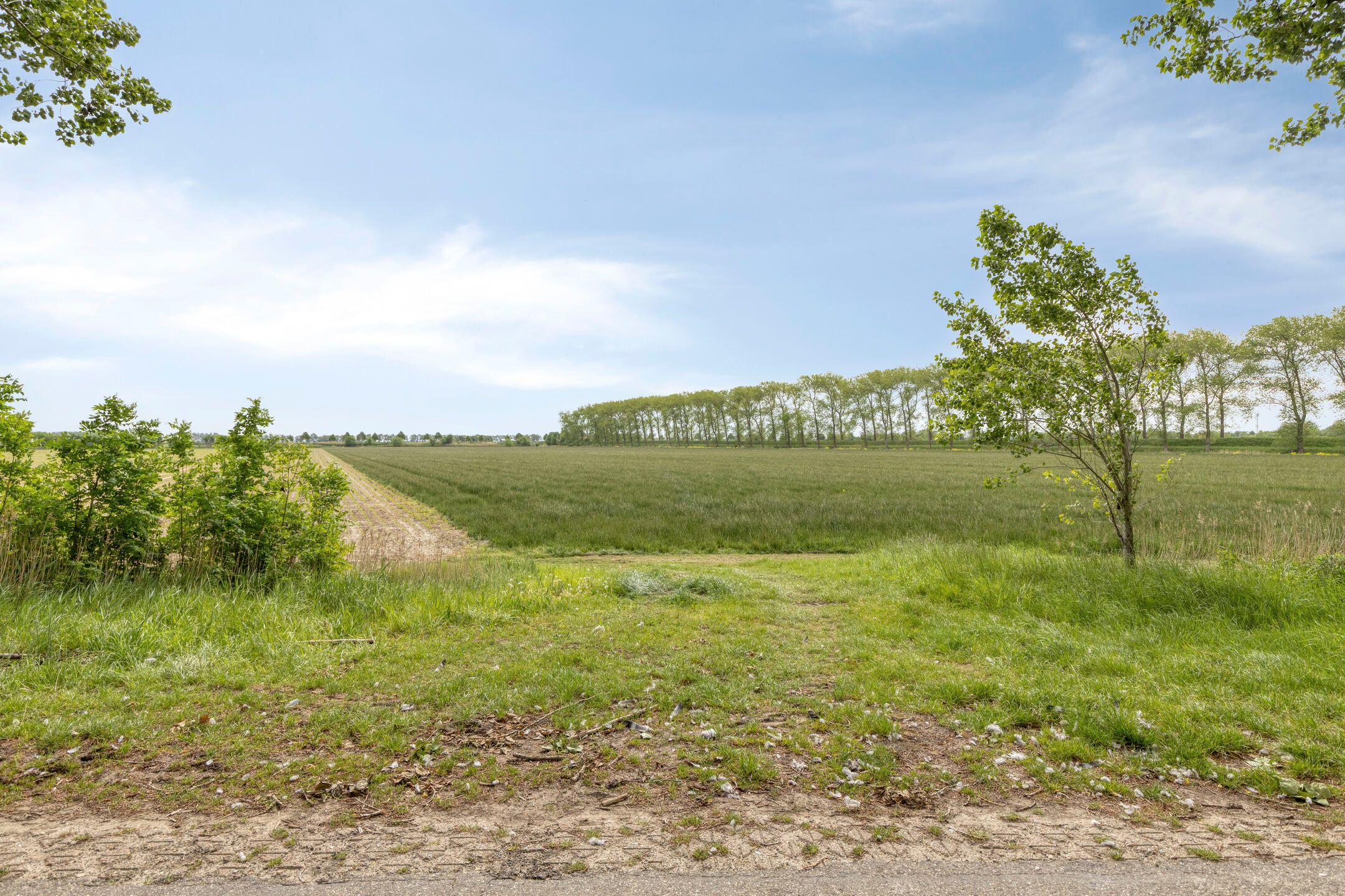 Photo 45 of Leguitsedijk 3