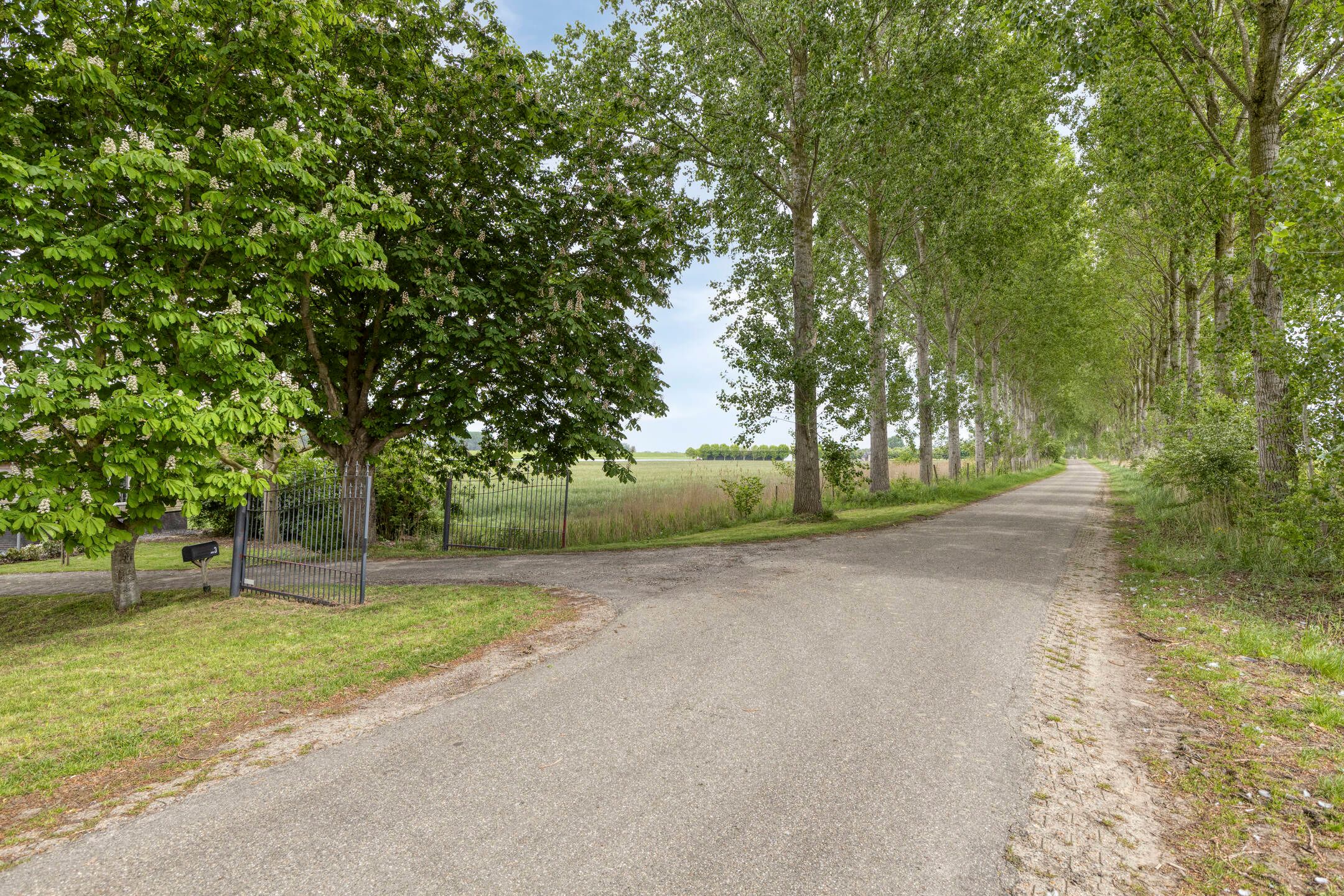 Photo 51 of Leguitsedijk 3