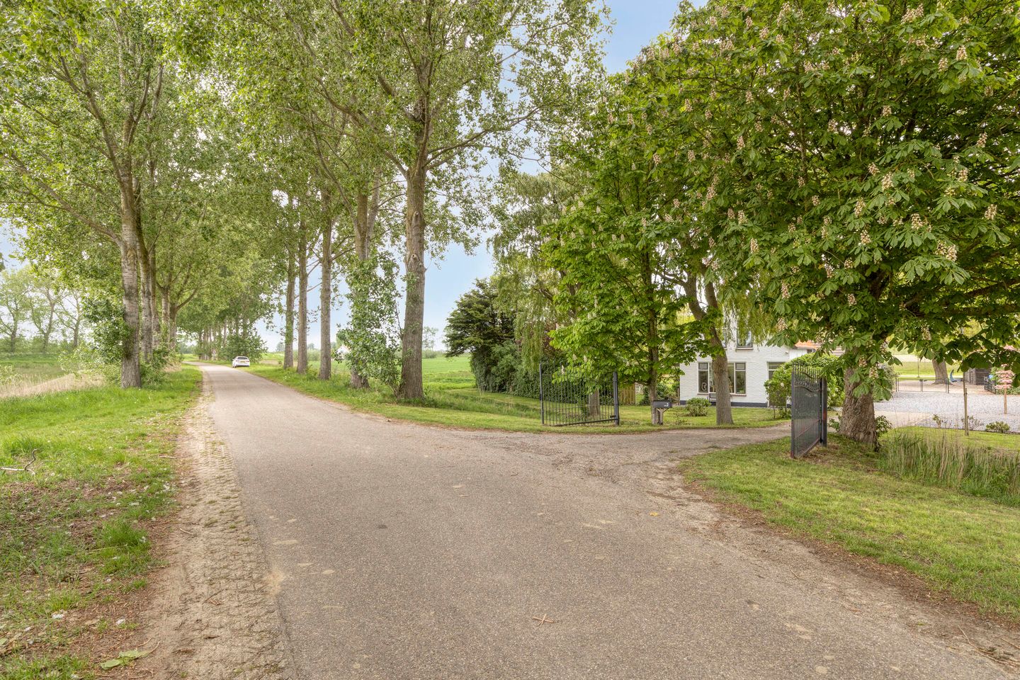 Photo 50 of Leguitsedijk 3