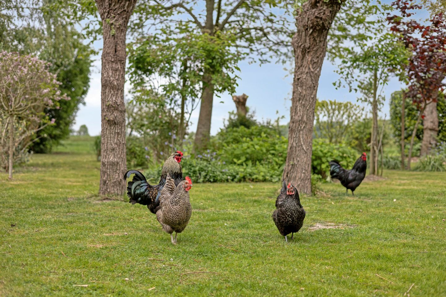 Photo 44 of Leguitsedijk 3