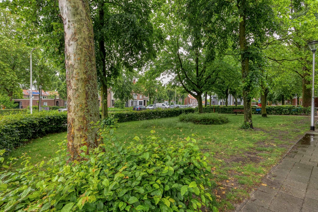 Photo 46 of Pagestraat 6