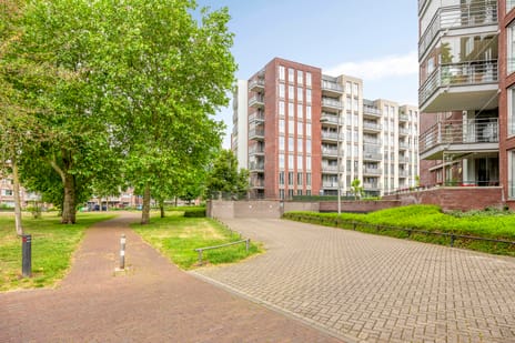 Koningsloper thumbnail
