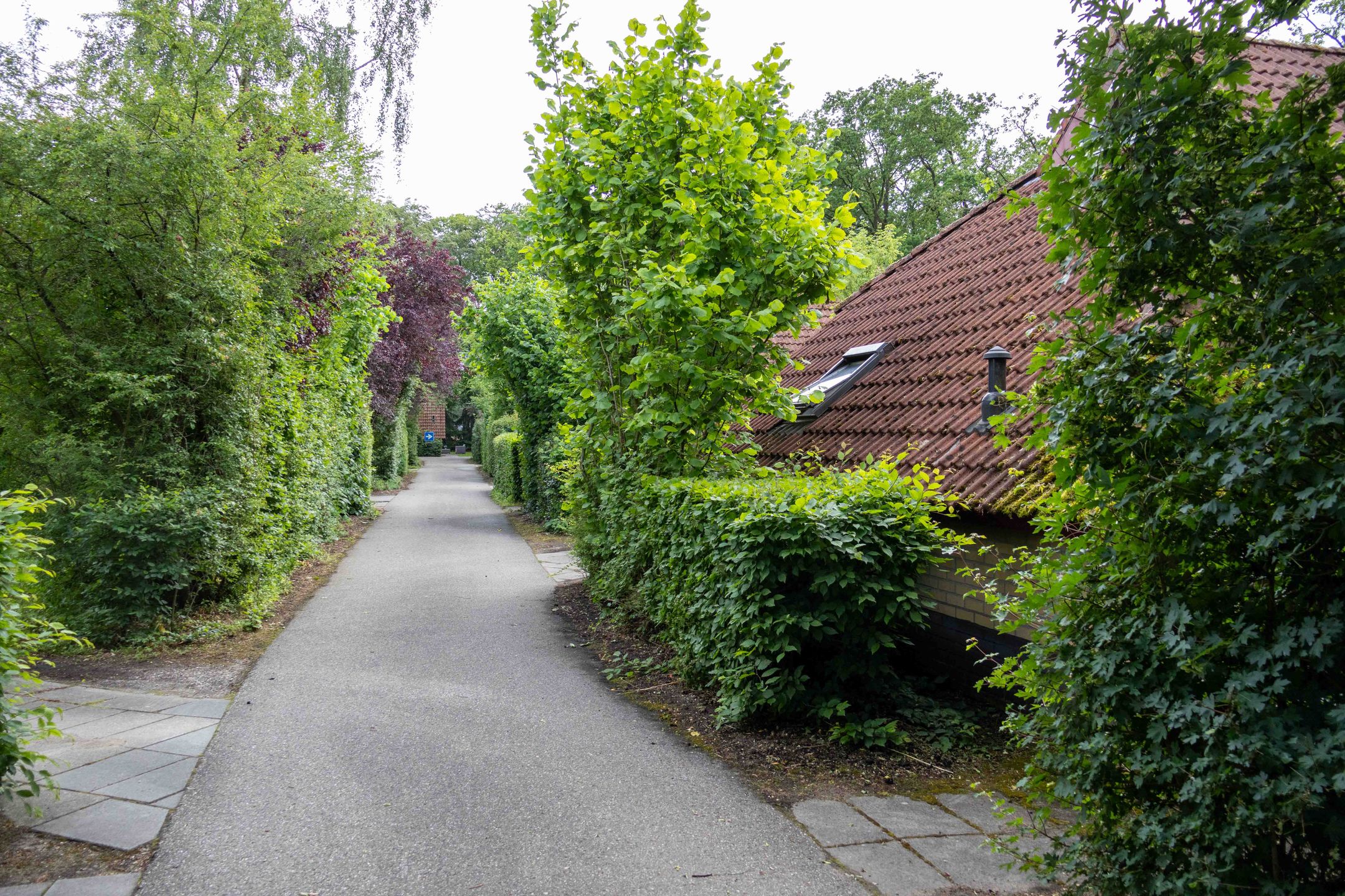Photo 15 of Haersolteweg 17-G101