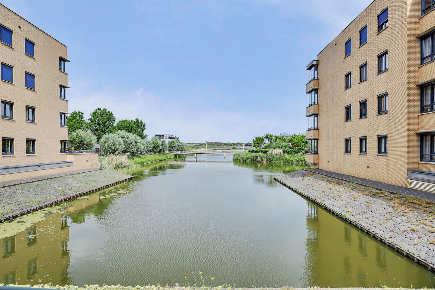 Photo 29 of Slangekruid 101